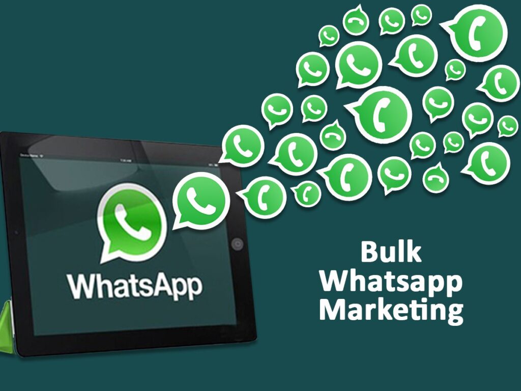 Bulk WhatsApp Provider in Jaipur